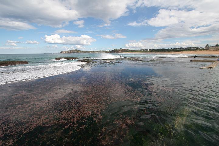 0416 Mona Vale Beach.JPG